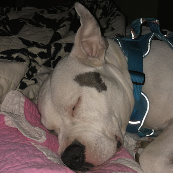 Meet your Posher, Megan - Picture 1 of 1